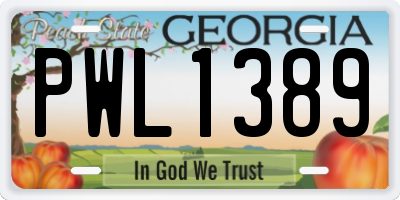 GA license plate PWL1389