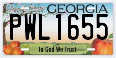 GA license plate PWL1655