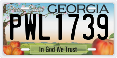 GA license plate PWL1739