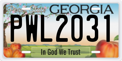 GA license plate PWL2031