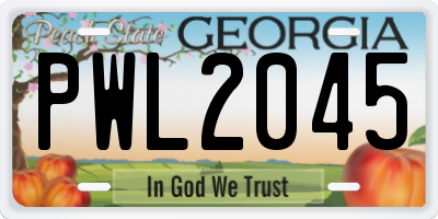GA license plate PWL2045