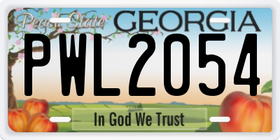 GA license plate PWL2054