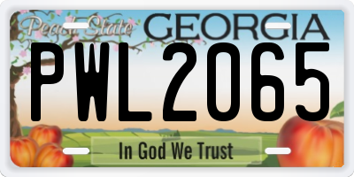 GA license plate PWL2065