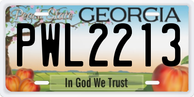 GA license plate PWL2213