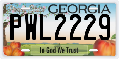 GA license plate PWL2229
