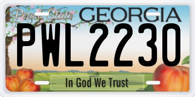 GA license plate PWL2230