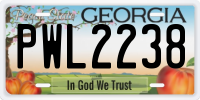 GA license plate PWL2238