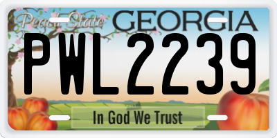 GA license plate PWL2239