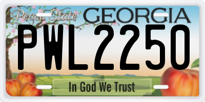 GA license plate PWL2250