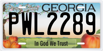 GA license plate PWL2289