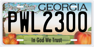 GA license plate PWL2300