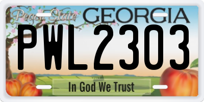GA license plate PWL2303