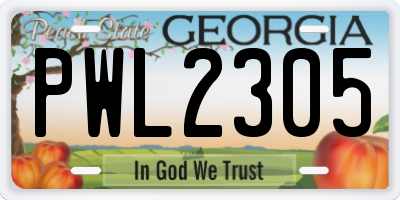 GA license plate PWL2305