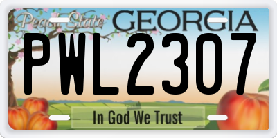GA license plate PWL2307