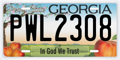 GA license plate PWL2308