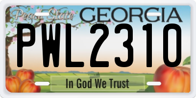 GA license plate PWL2310