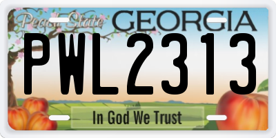 GA license plate PWL2313