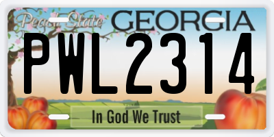 GA license plate PWL2314