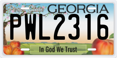 GA license plate PWL2316