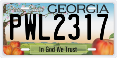 GA license plate PWL2317