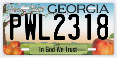 GA license plate PWL2318