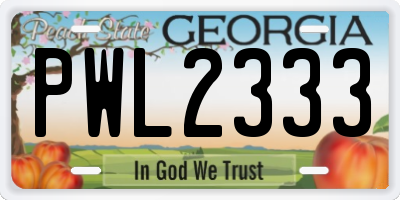 GA license plate PWL2333