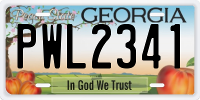 GA license plate PWL2341