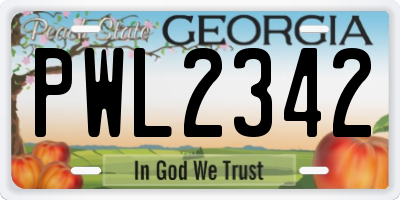 GA license plate PWL2342