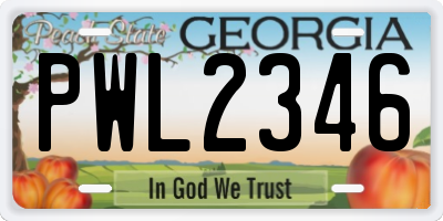 GA license plate PWL2346