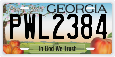 GA license plate PWL2384