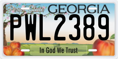 GA license plate PWL2389