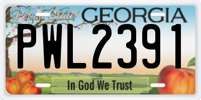 GA license plate PWL2391