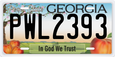 GA license plate PWL2393