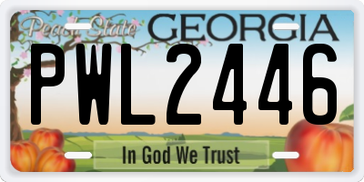 GA license plate PWL2446