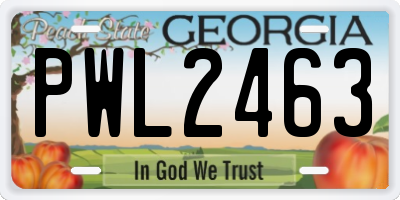 GA license plate PWL2463