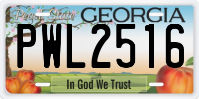 GA license plate PWL2516