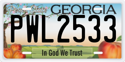 GA license plate PWL2533