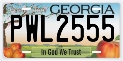 GA license plate PWL2555