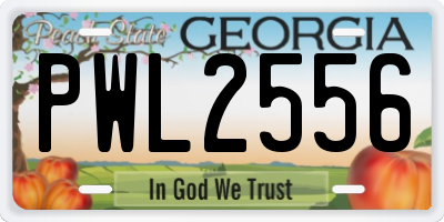 GA license plate PWL2556