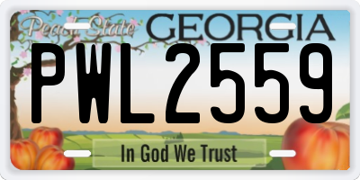 GA license plate PWL2559