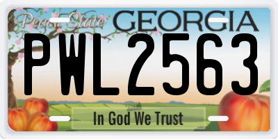 GA license plate PWL2563