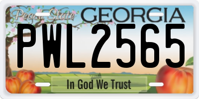 GA license plate PWL2565