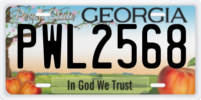 GA license plate PWL2568
