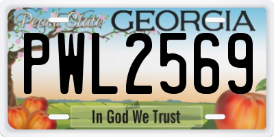 GA license plate PWL2569