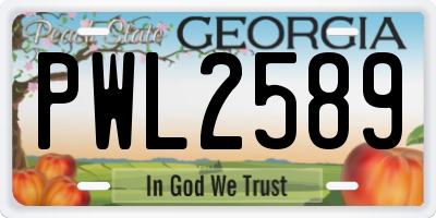 GA license plate PWL2589