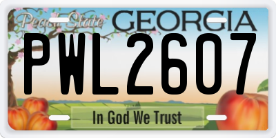 GA license plate PWL2607