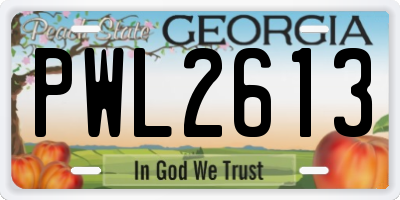 GA license plate PWL2613