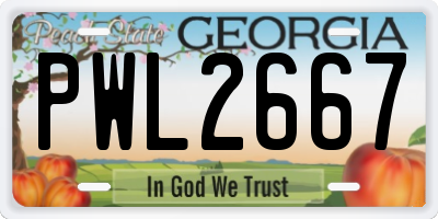 GA license plate PWL2667