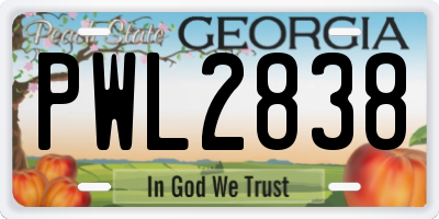 GA license plate PWL2838