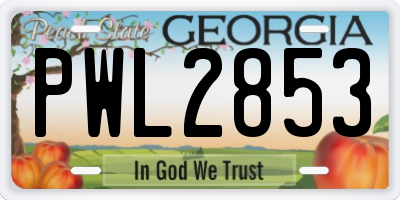 GA license plate PWL2853